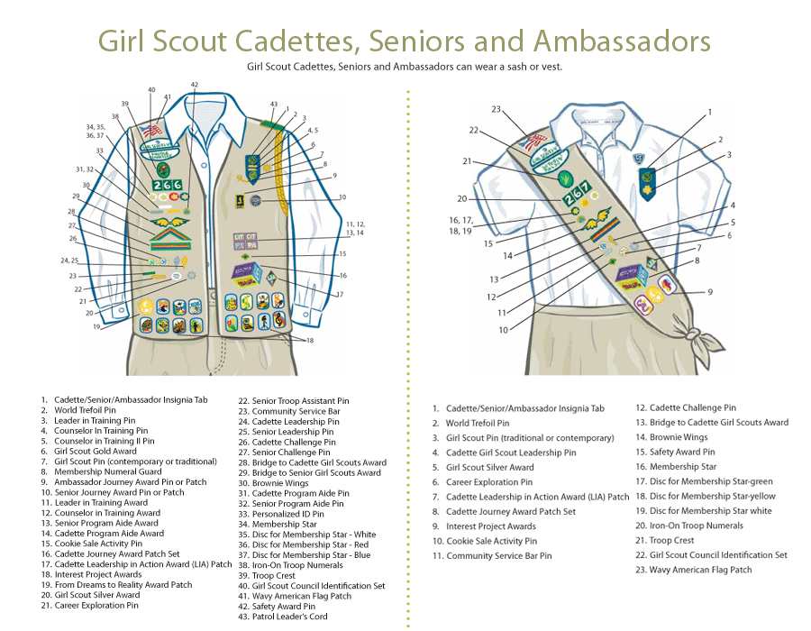 STAR AND JUNIOR GIRL SCOUTS INVESTITURE
